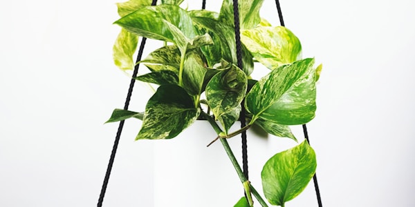 英格兰足球超级联赛比赛精彩瞬间